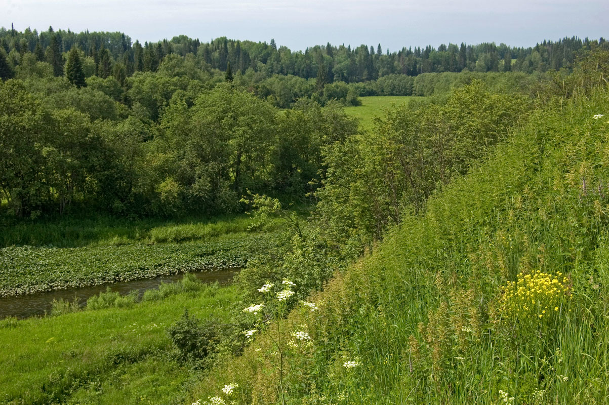 Долина реки Барда, изображение ландшафта.