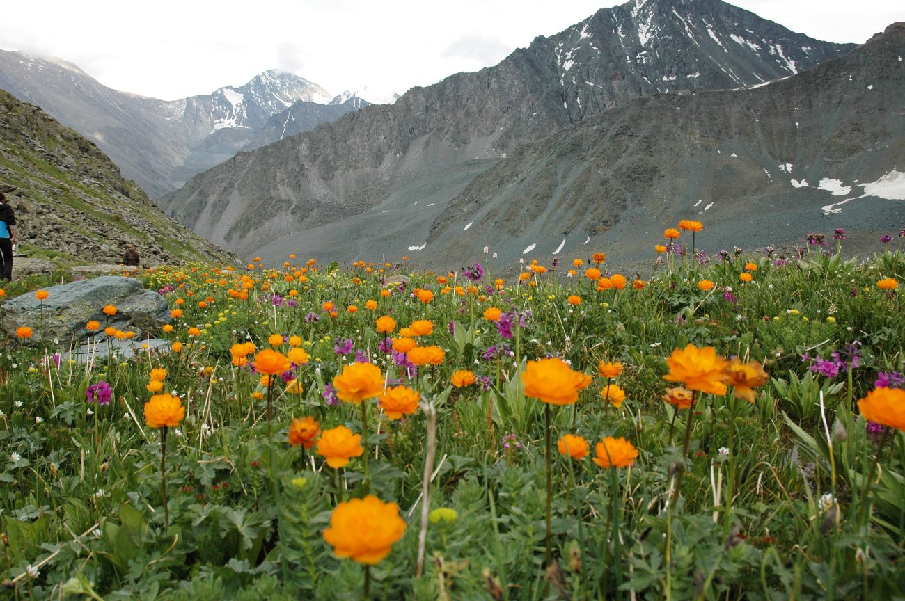 Долина Семи Озер, image of landscape/habitat.