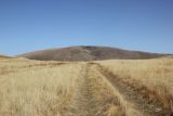 Image of landscape