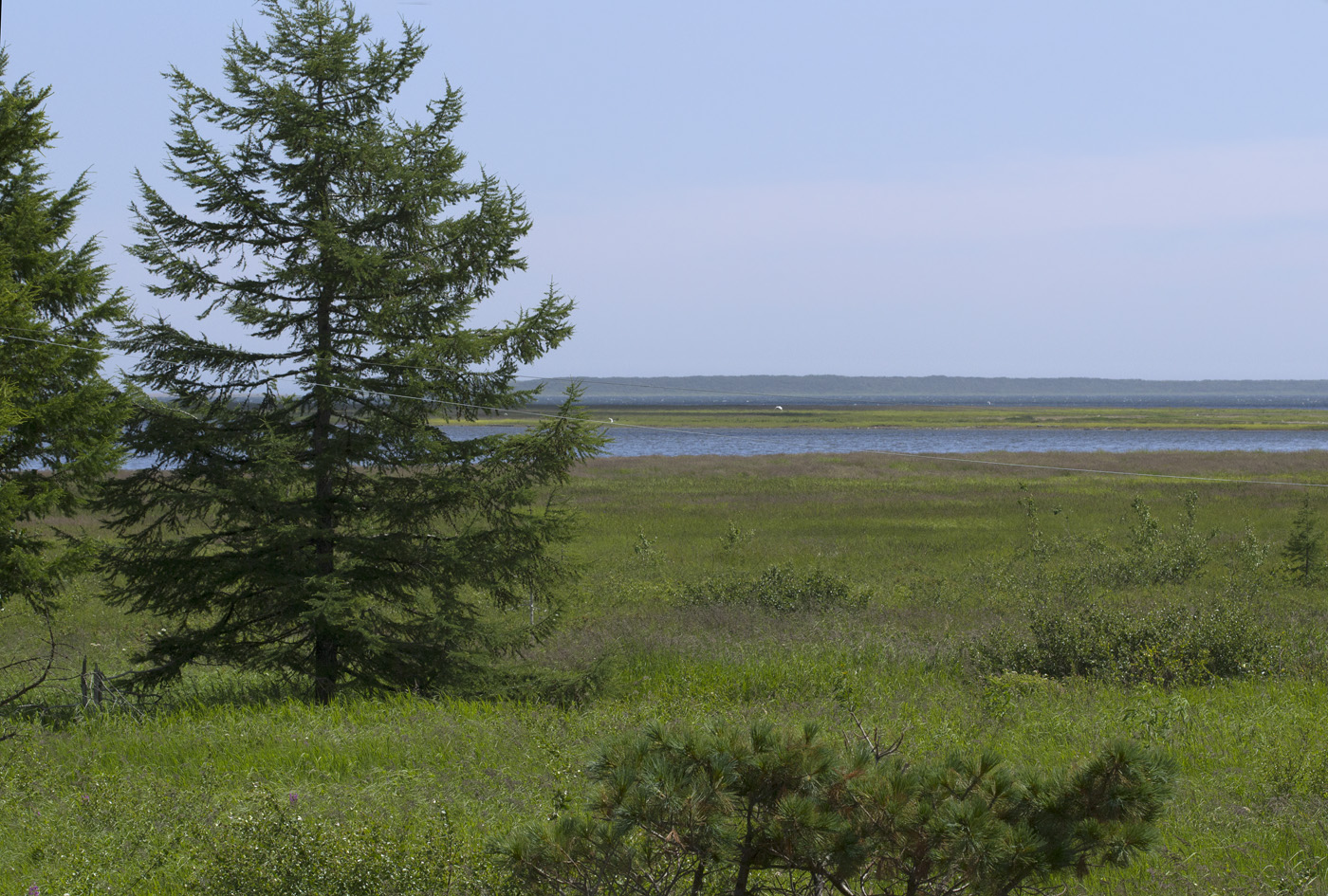 Уркт, image of landscape/habitat.