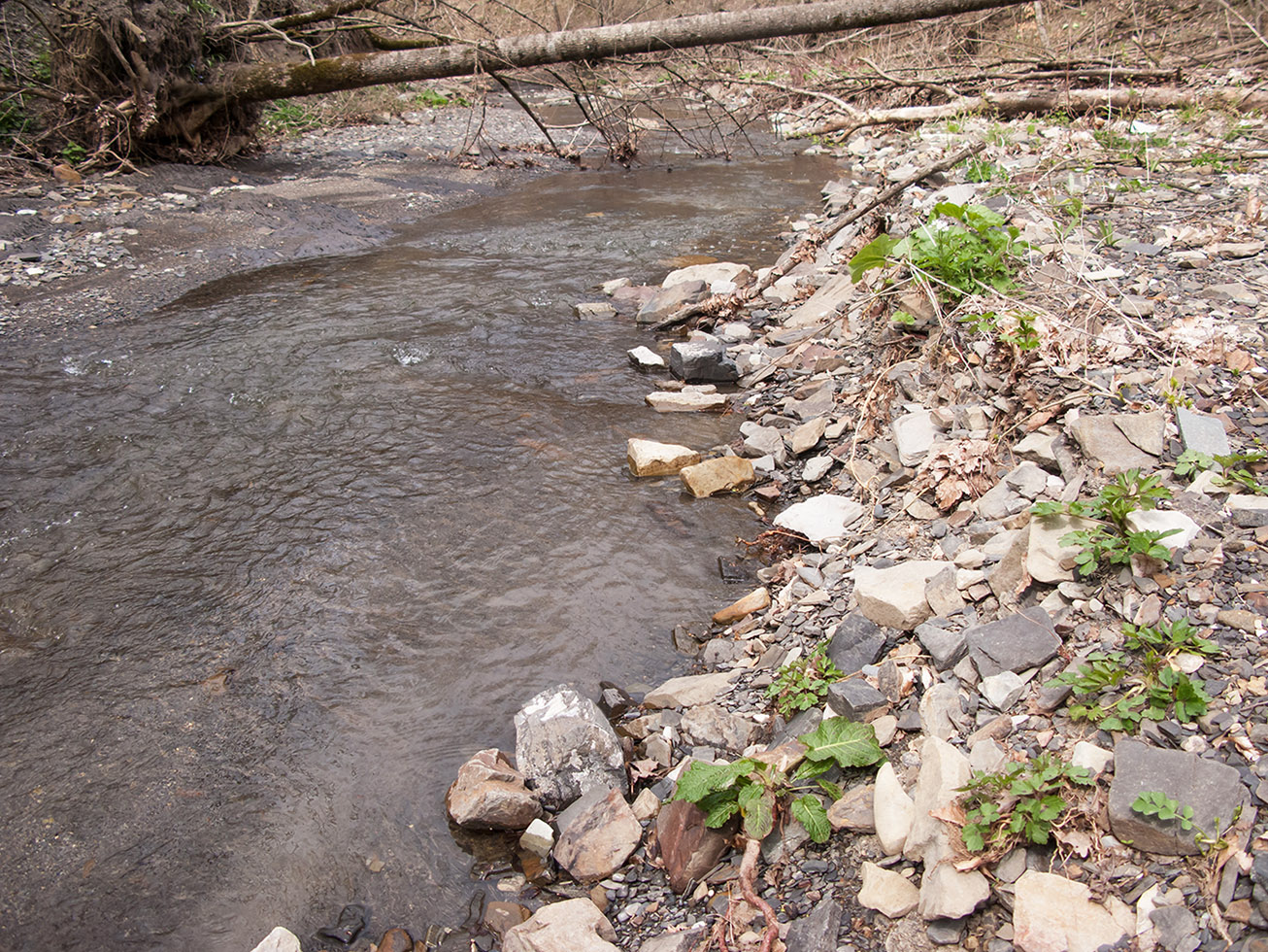 Щель Мардакова, image of landscape/habitat.