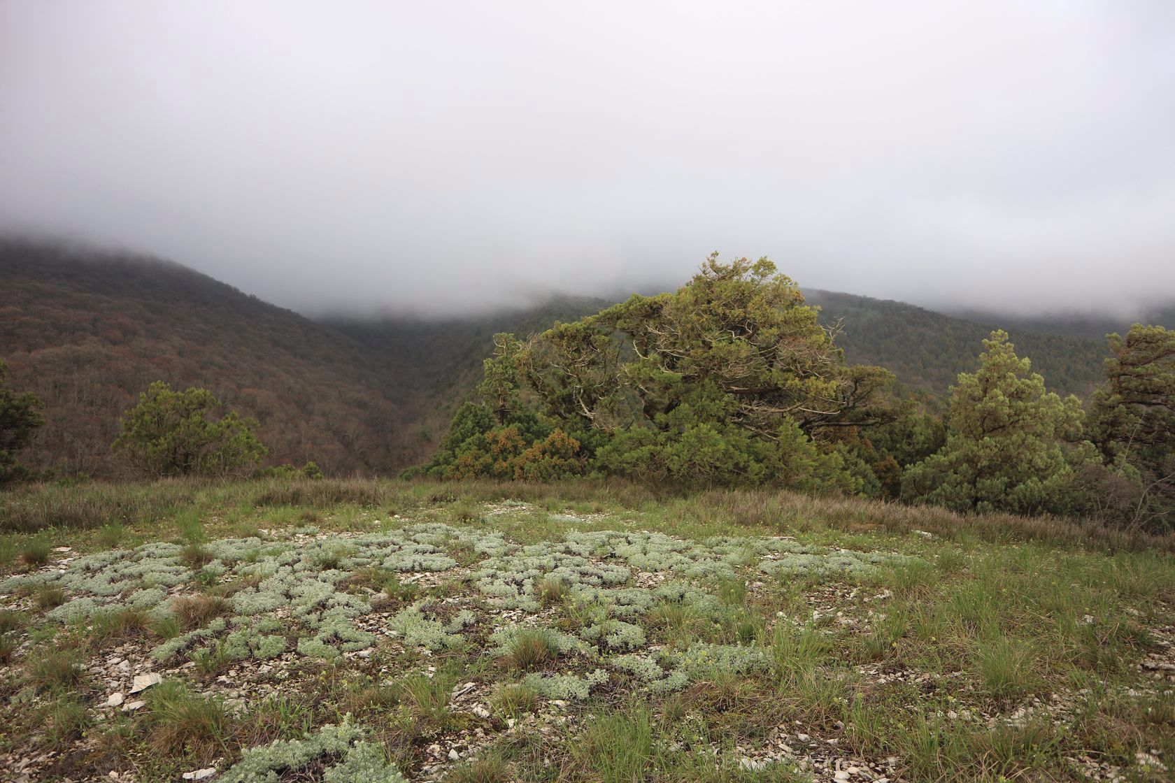 Трубецкая щель, image of landscape/habitat.