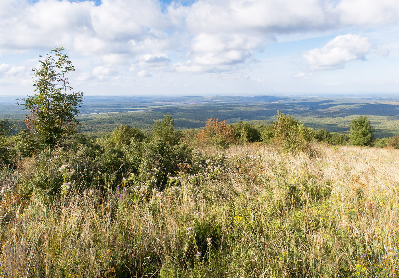 Шпиль, image of landscape/habitat.
