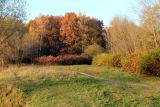 Тропарёвский заказник, image of landscape/habitat.