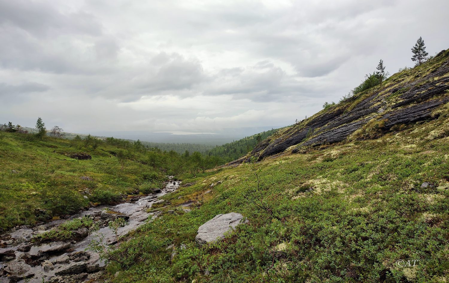 Ручей Маннепахкуай, image of landscape/habitat.