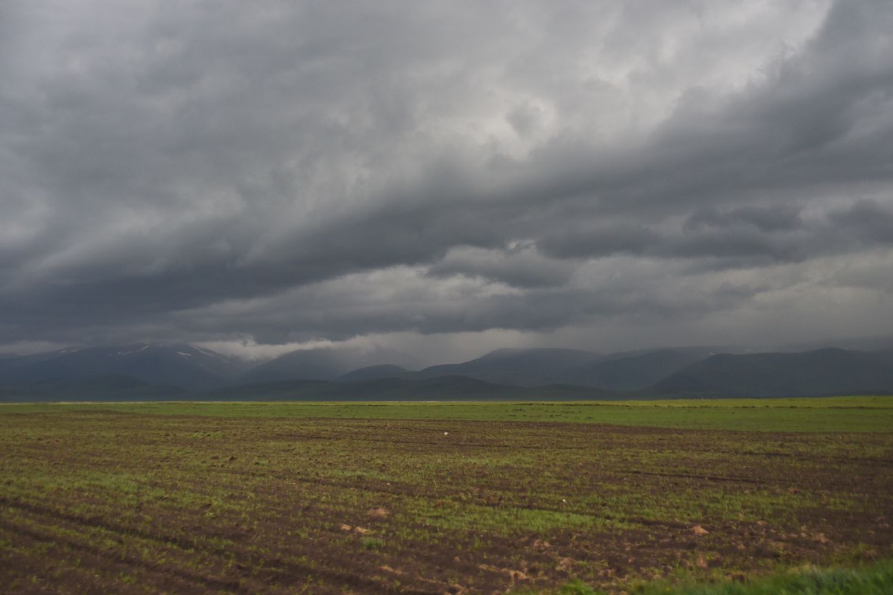 Апниа, image of landscape/habitat.