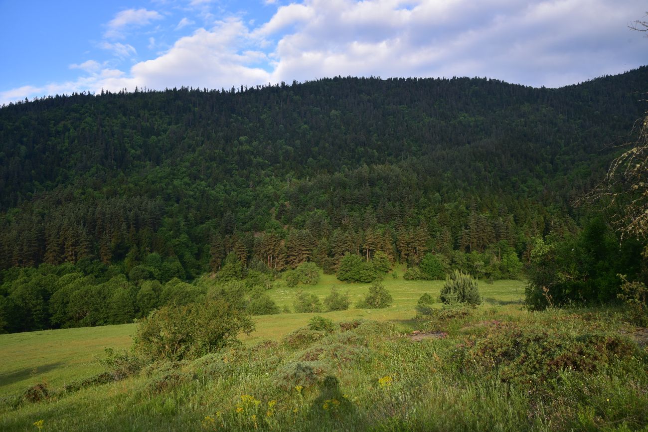 Цинубанская баня, image of landscape/habitat.