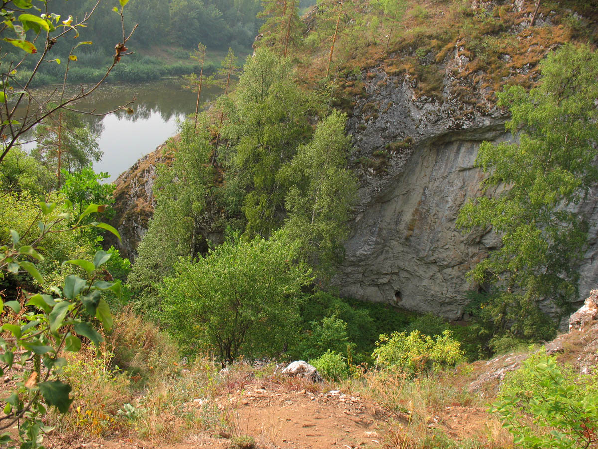 Река Белая, image of landscape/habitat.