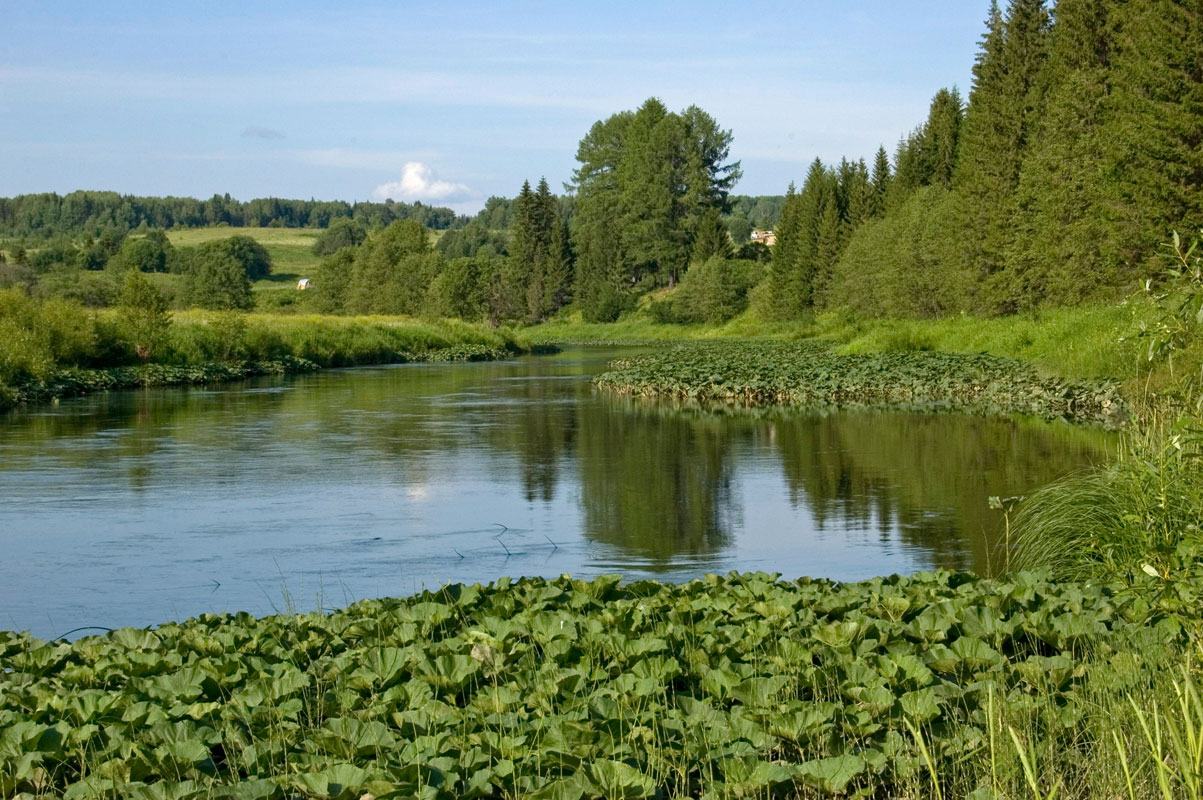 Долина реки Барда, image of landscape/habitat.