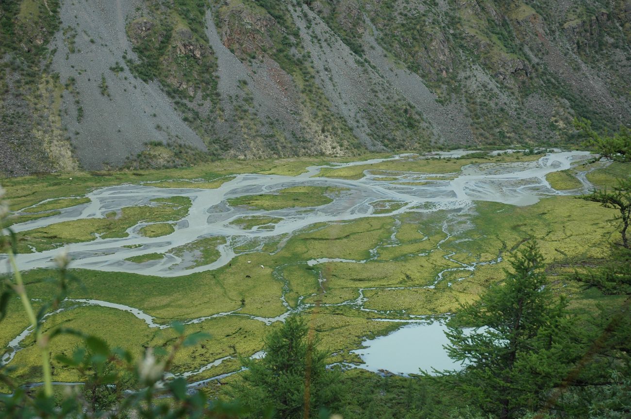 Озеро Аккемское, image of landscape/habitat.