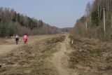 Окрестности Сертолово, image of landscape/habitat.