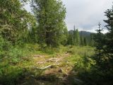 Image of landscape