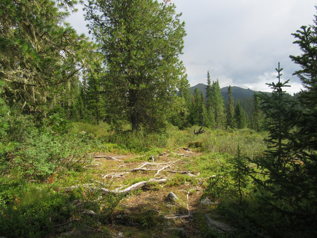 Долина реки Нижняя Буйба, image of landscape/habitat.