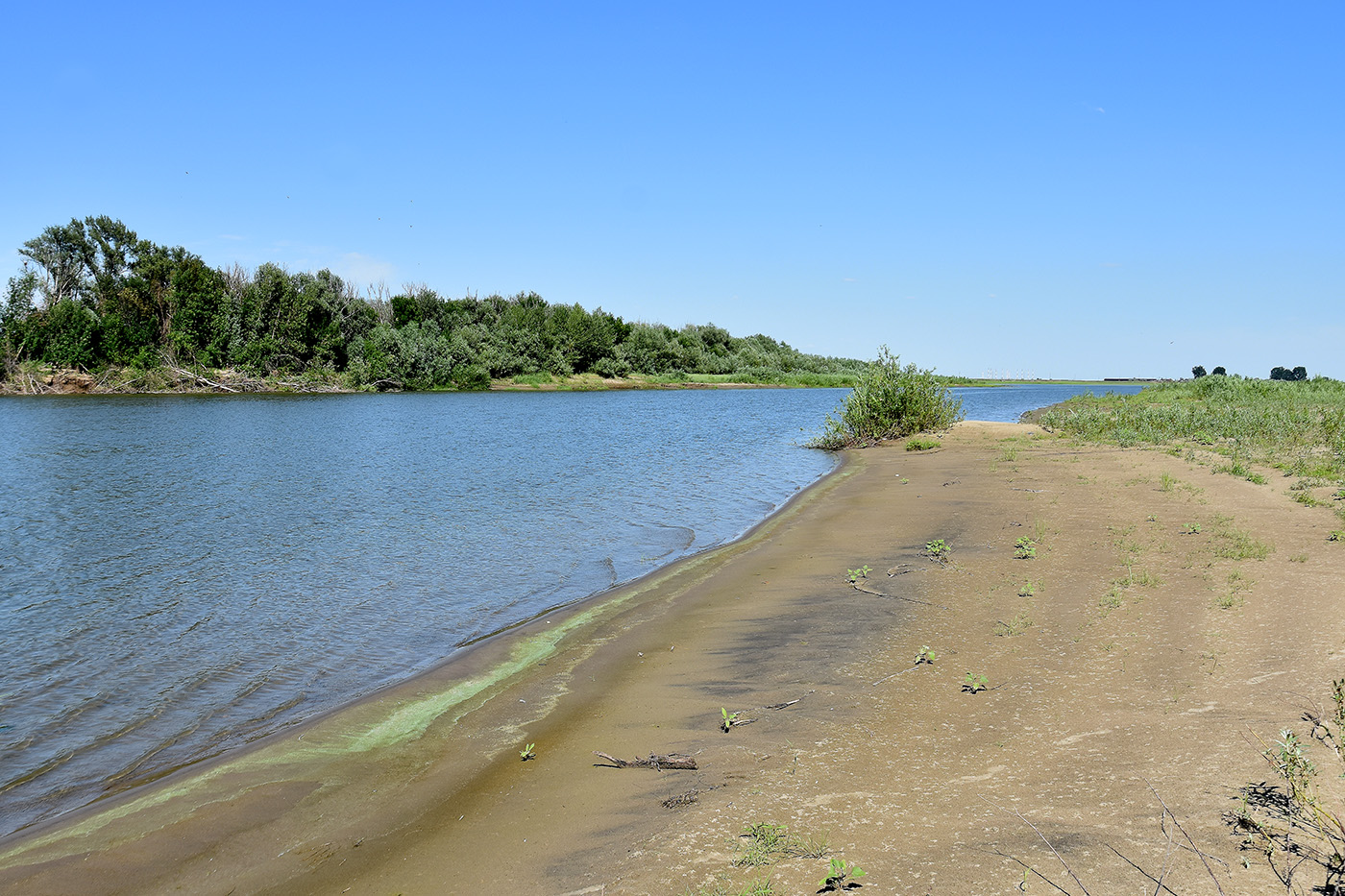 Вершина дельты Волги, image of landscape/habitat.