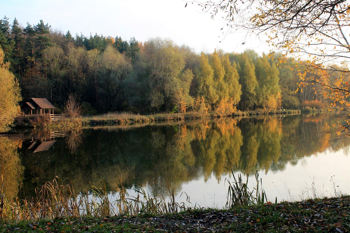 Тропарёвский заказник, image of landscape/habitat.