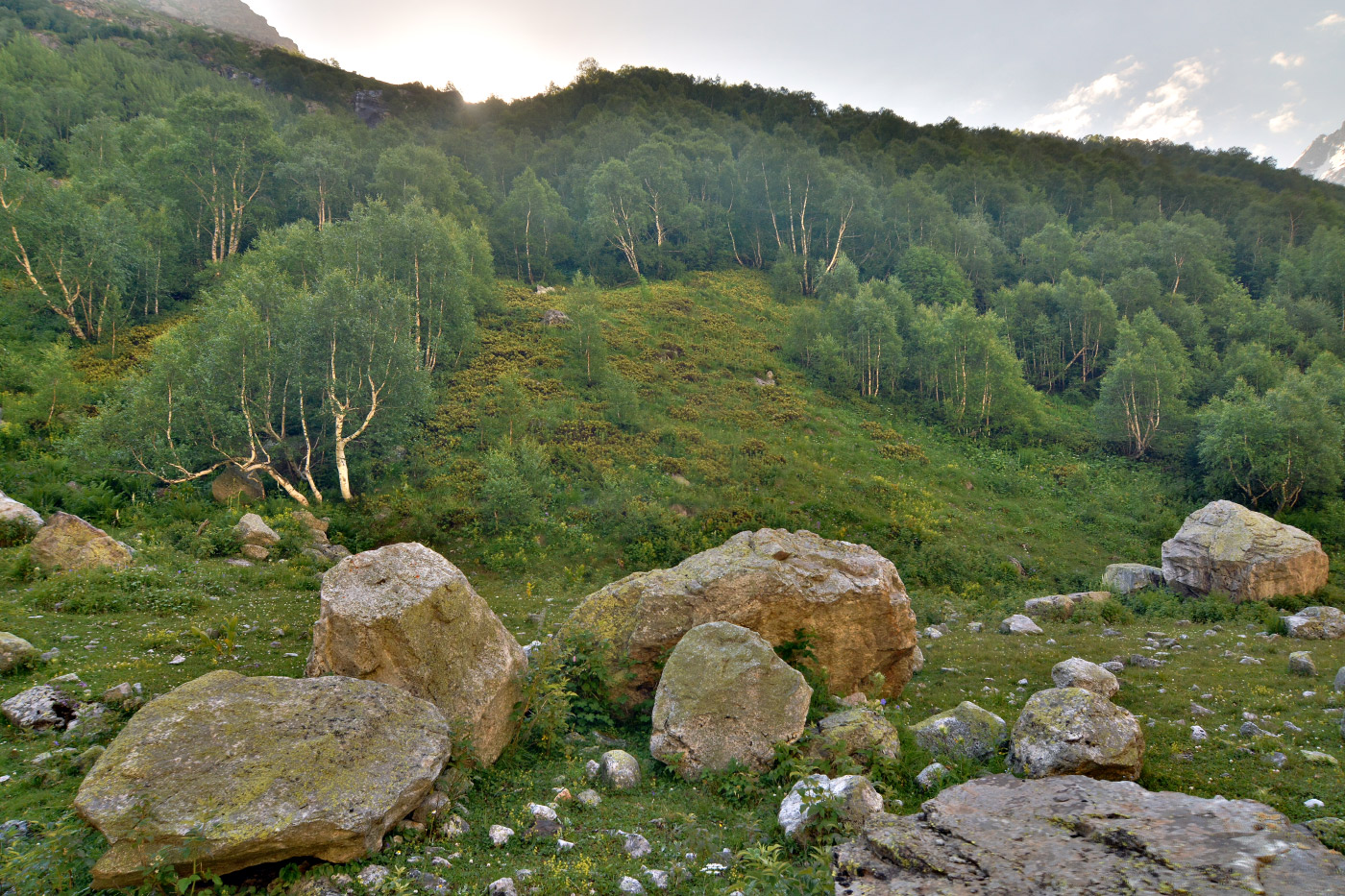 Ущелье Кичкинекол, image of landscape/habitat.