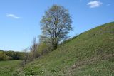 Кликовка, image of landscape/habitat.