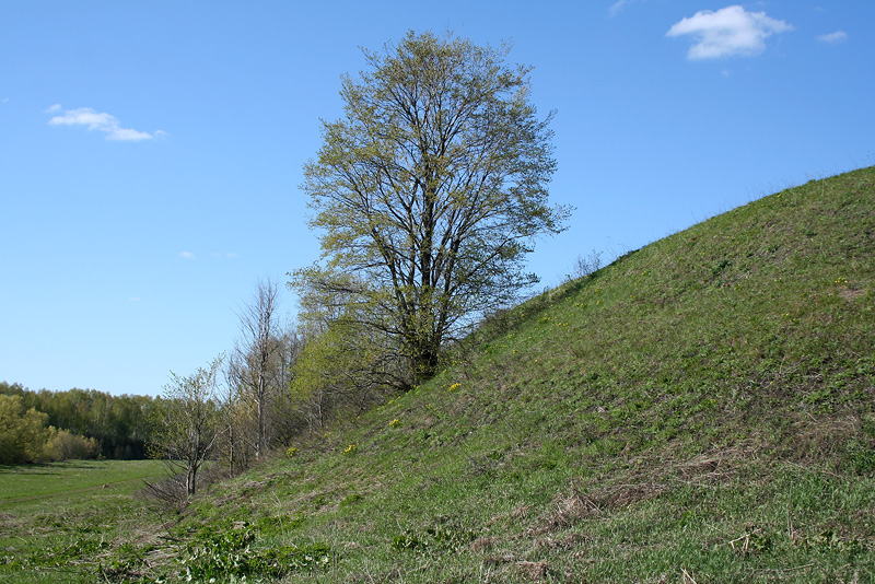 Кликовка, изображение ландшафта.