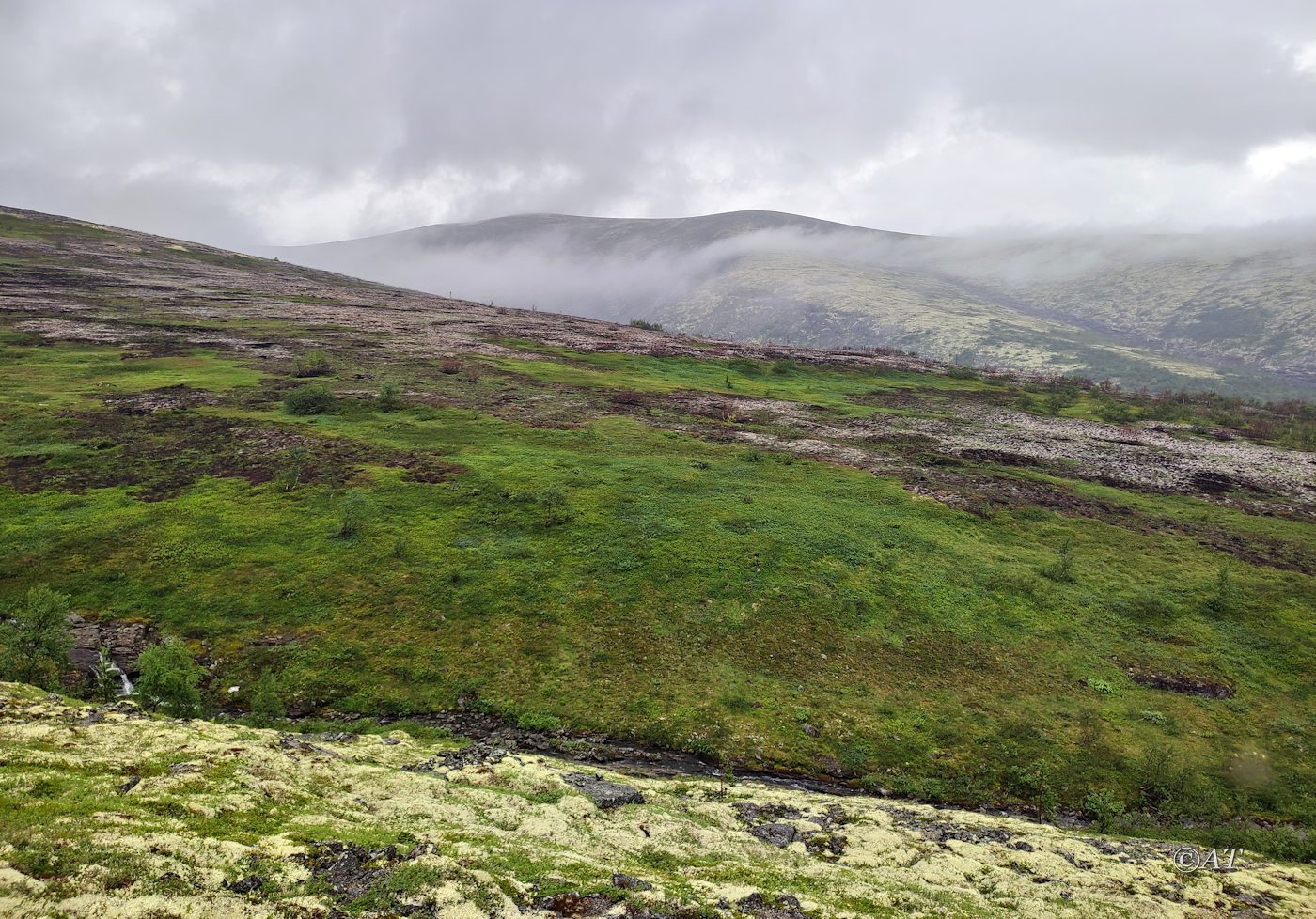 Ручей Маннепахкуай, image of landscape/habitat.