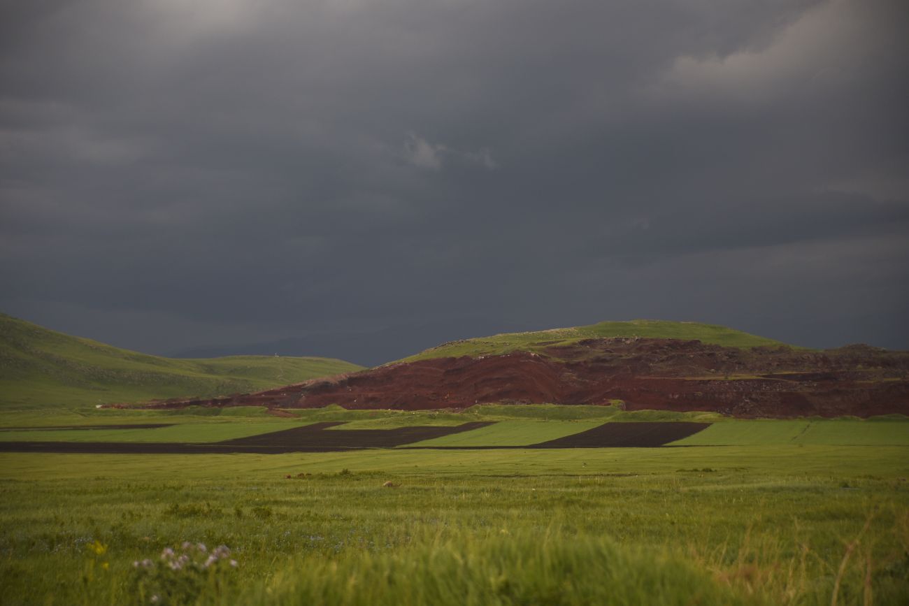 Диди-Гюней, image of landscape/habitat.