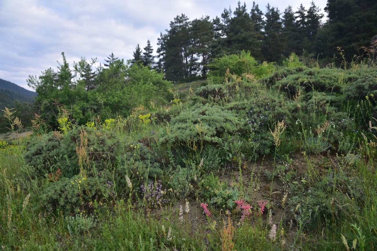 Цинубанская баня, image of landscape/habitat.