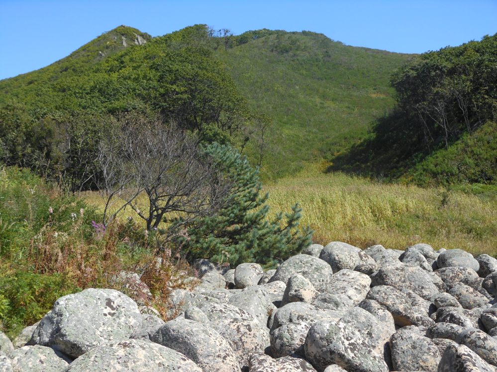 Мыс Лисученко, image of landscape/habitat.