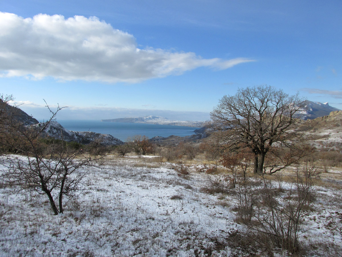 Карадаг, image of landscape/habitat.