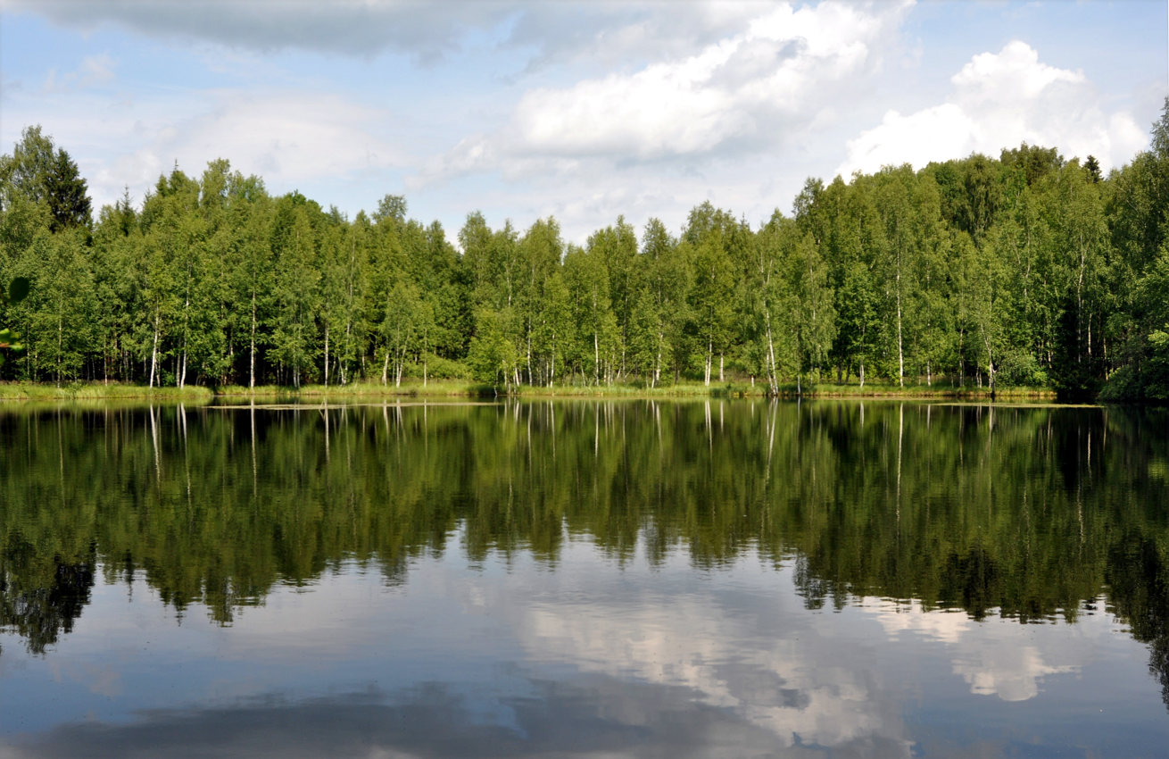 Окрестности деревни Тешилово, image of landscape/habitat.