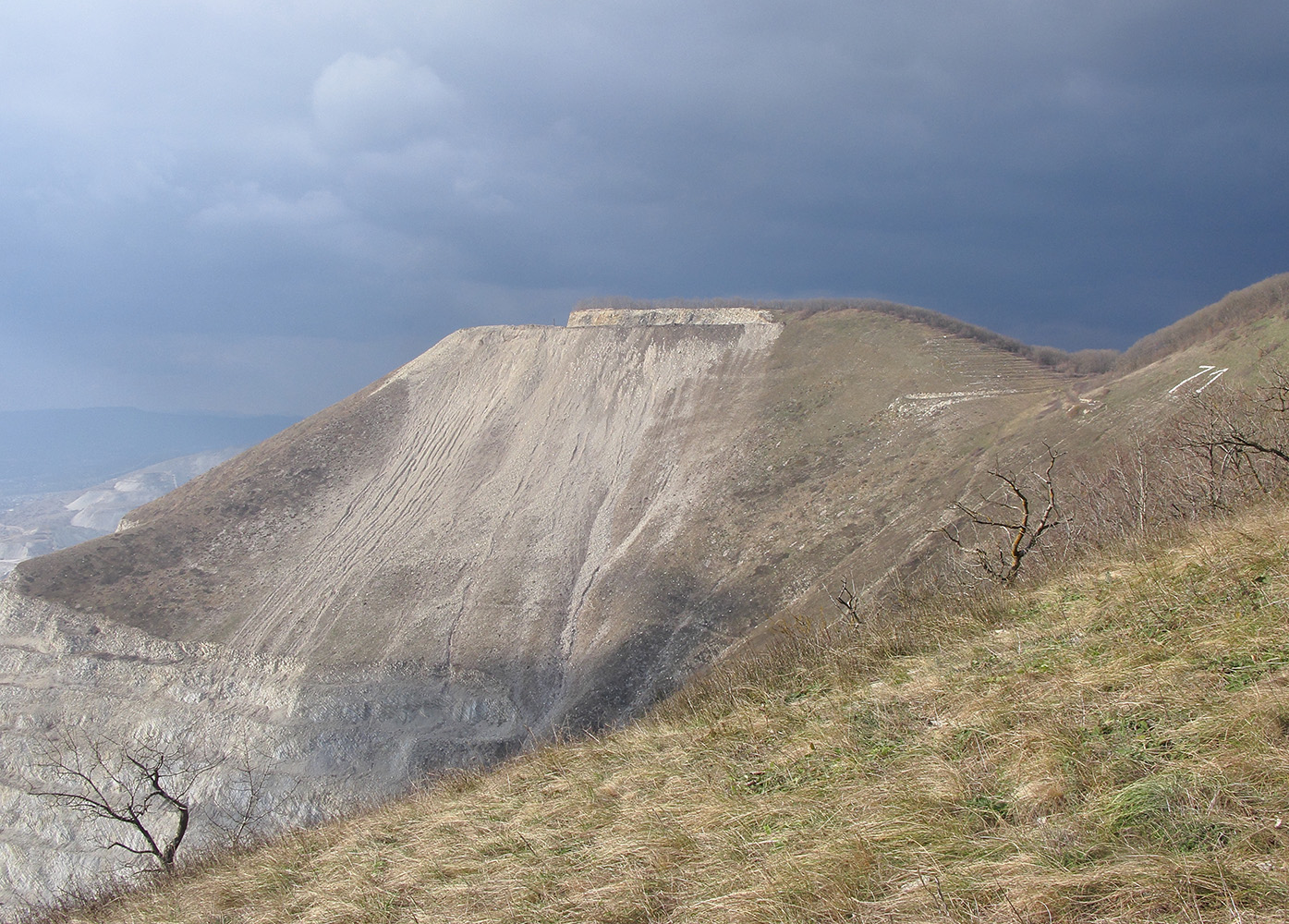 Сахарная Голова, image of landscape/habitat.