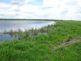 Image of landscape