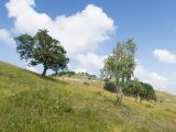 Image of landscape
