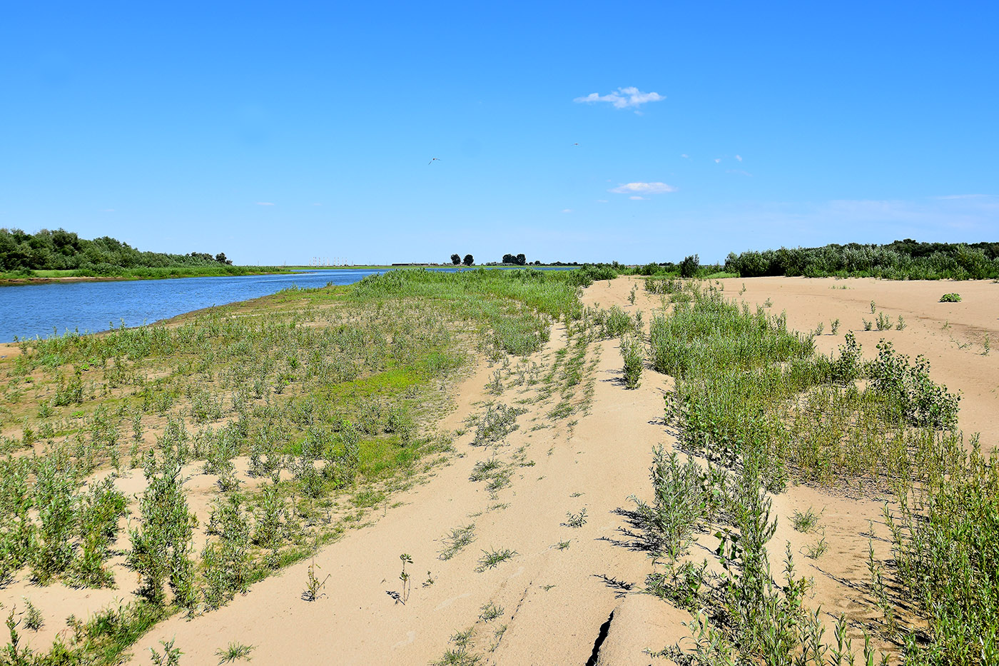 Вершина дельты Волги, image of landscape/habitat.