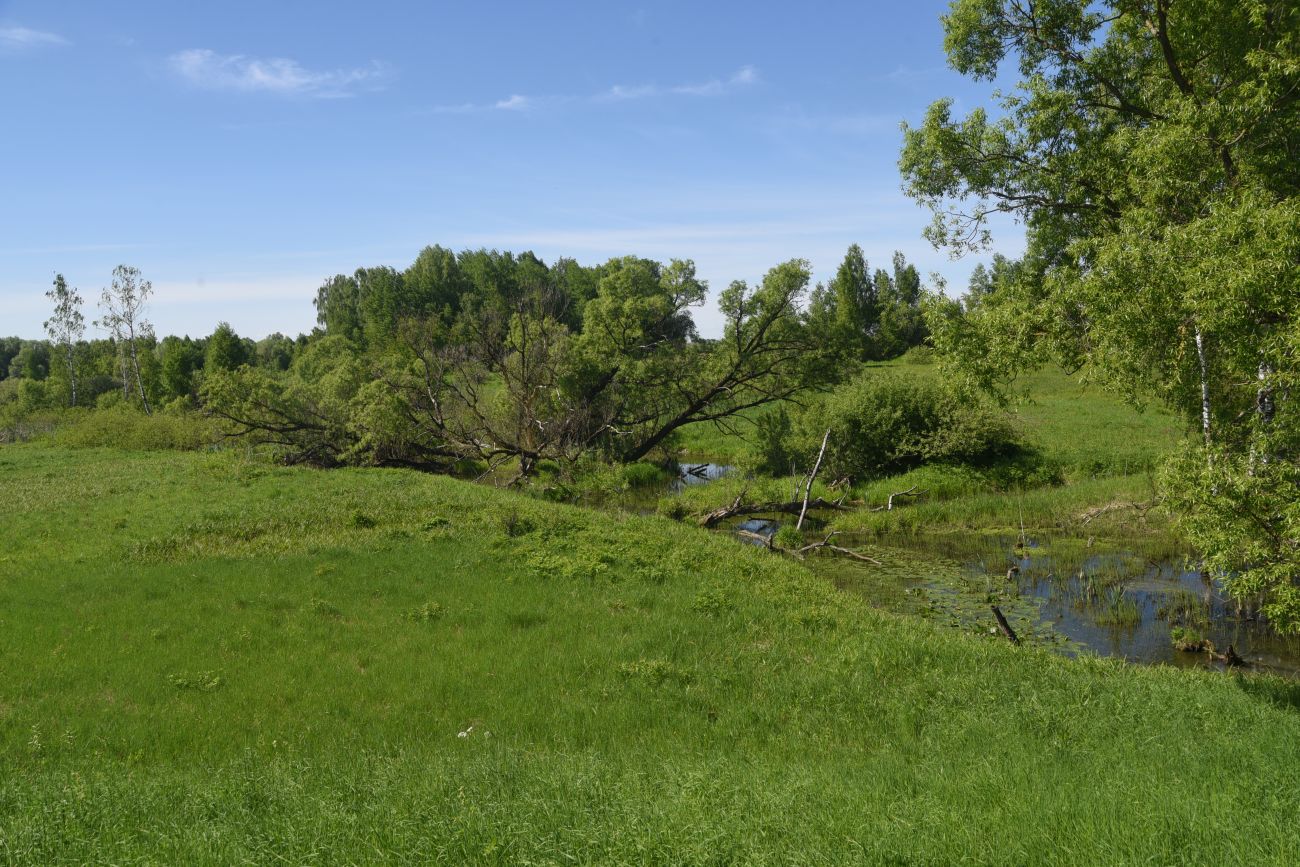 Окрестности деревни Федорино, image of landscape/habitat.