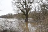 Окрестности деревни Сатино, image of landscape/habitat.
