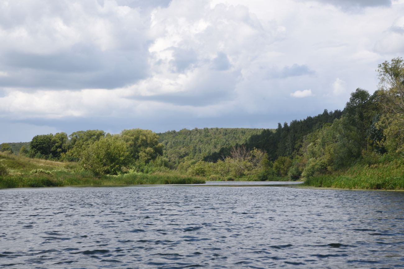Барский лес, image of landscape/habitat.