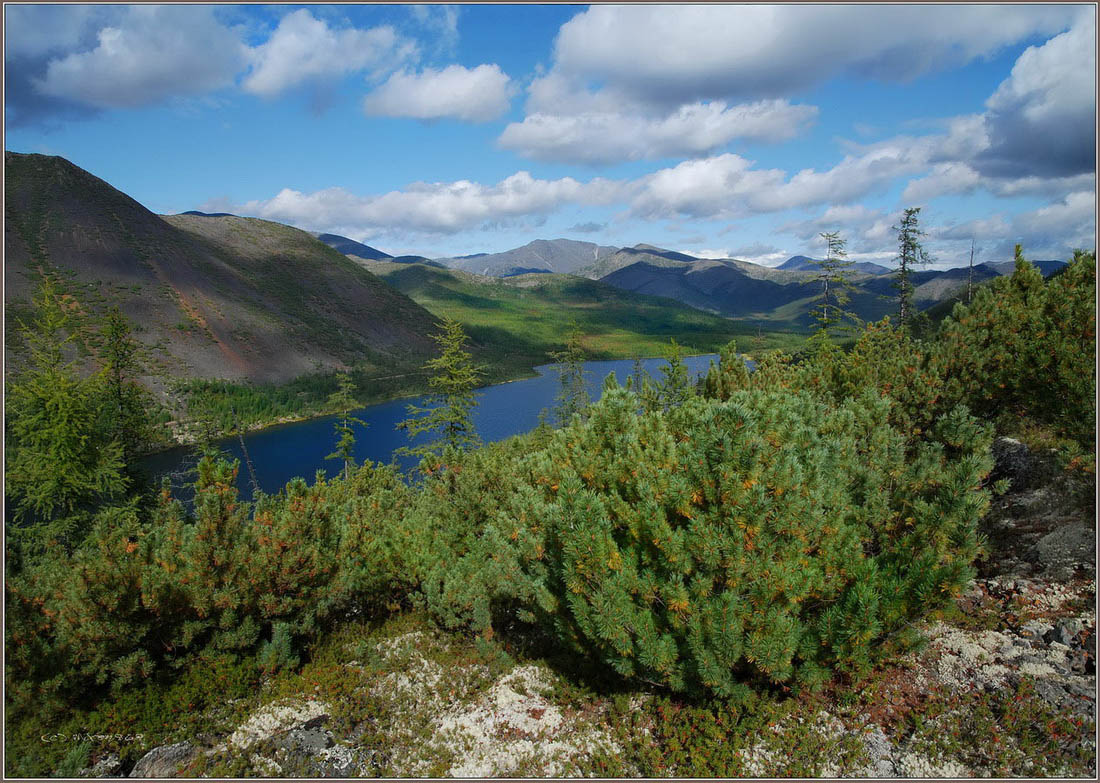 Озеро Танцующих хариусов, image of landscape/habitat.