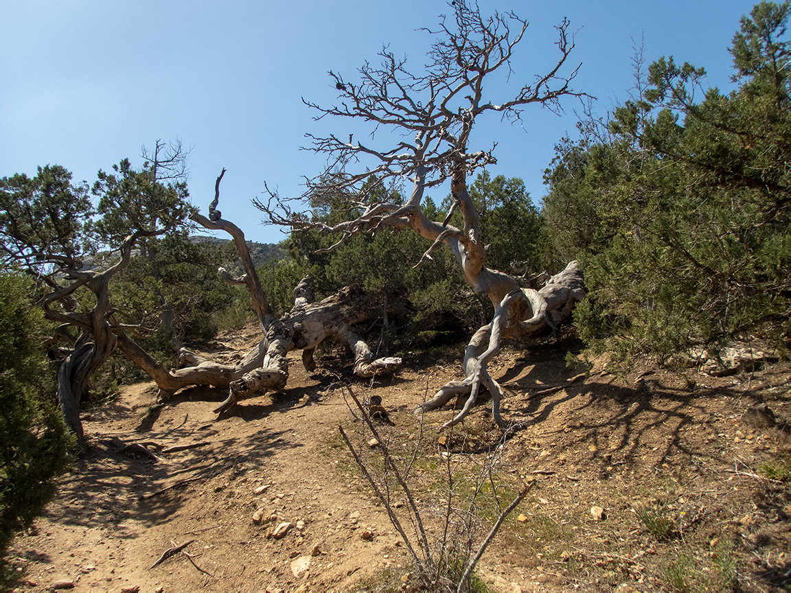 Караул-Оба, изображение ландшафта.