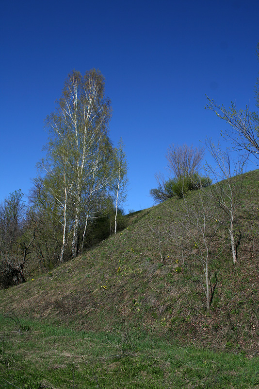 Кликовка, image of landscape/habitat.