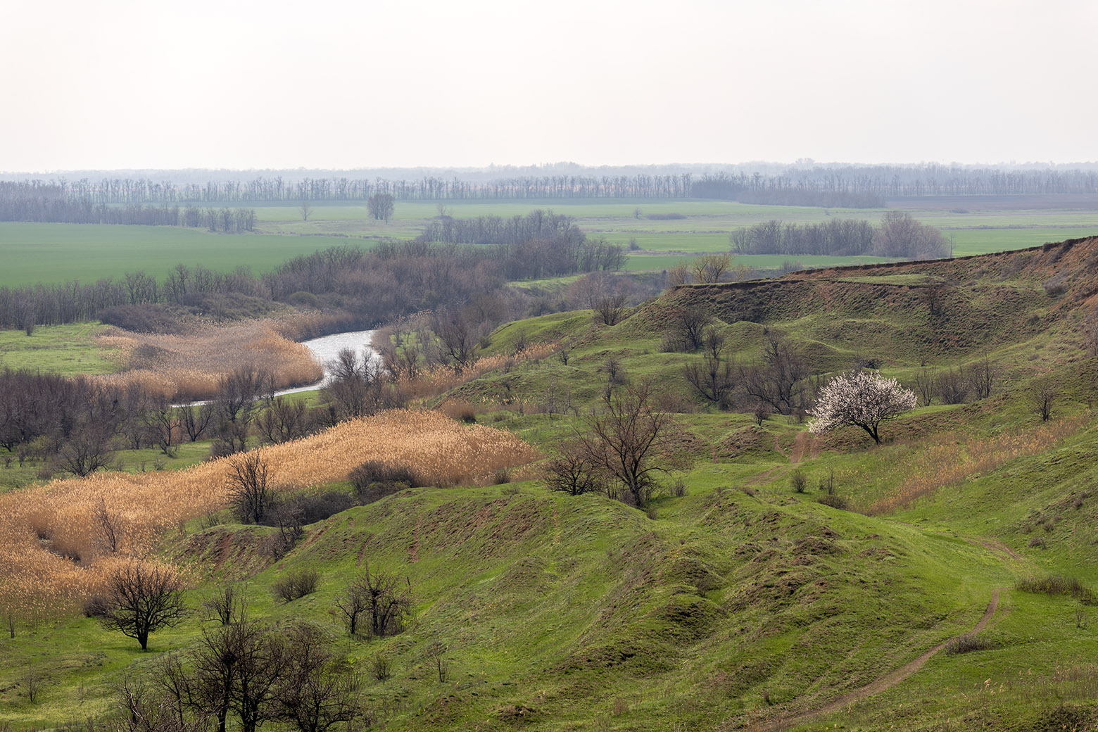 Шаминка, image of landscape/habitat.