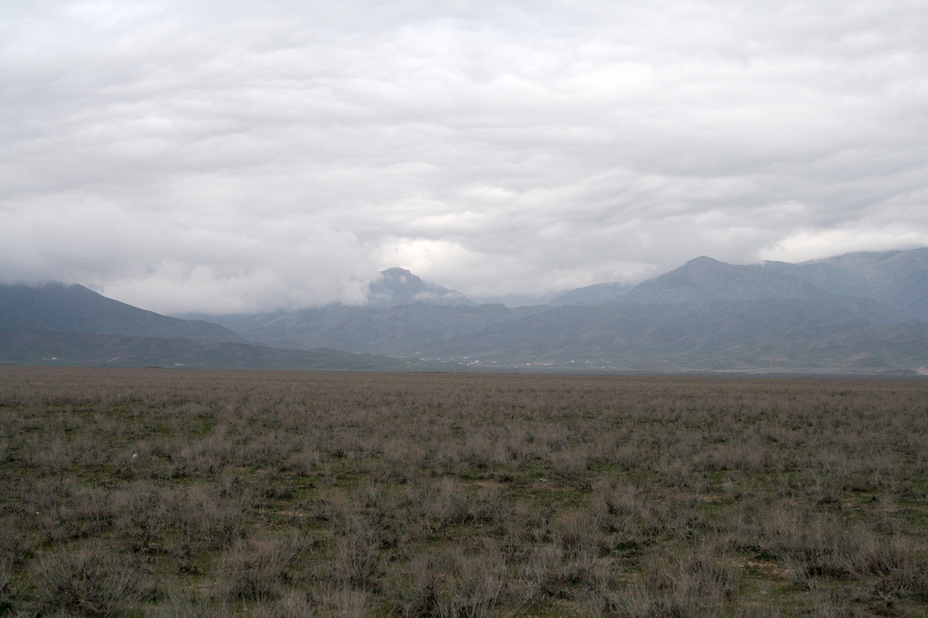 Подгорная равнина хребта Нуратау, image of landscape/habitat.