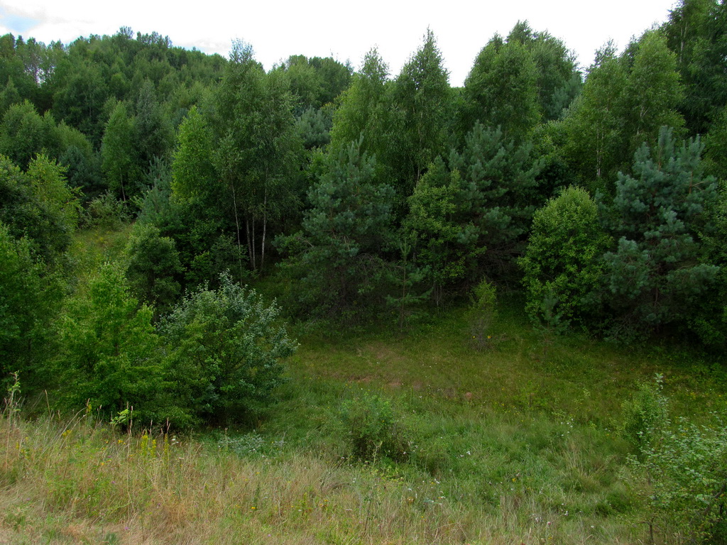 Несутычи, image of landscape/habitat.