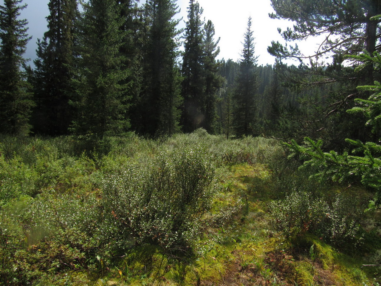 Долина реки Тушканчик, image of landscape/habitat.