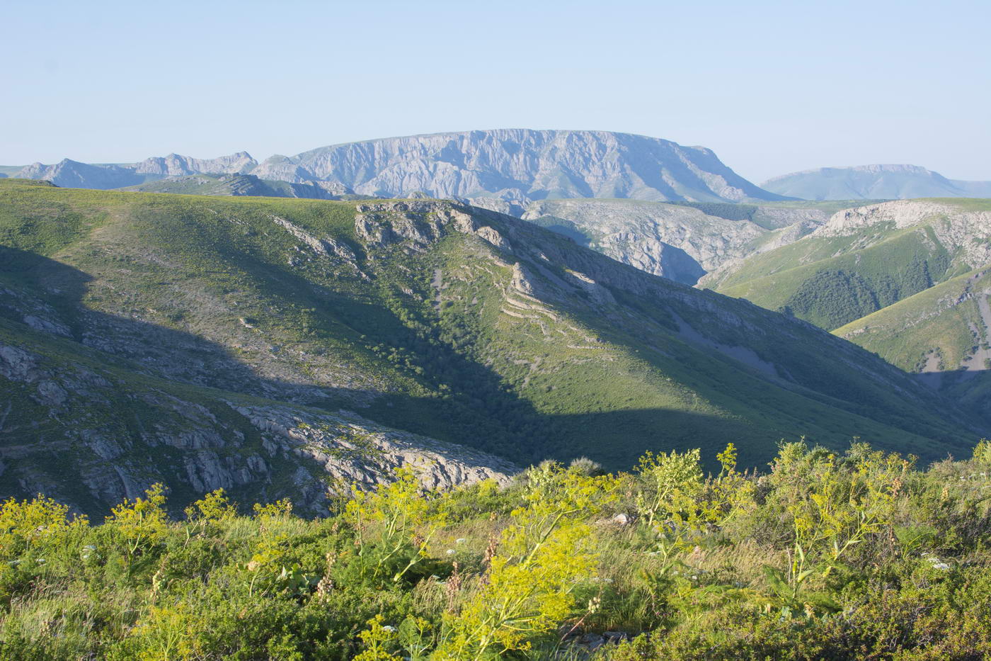 Хребет Боралдай (север), изображение ландшафта.