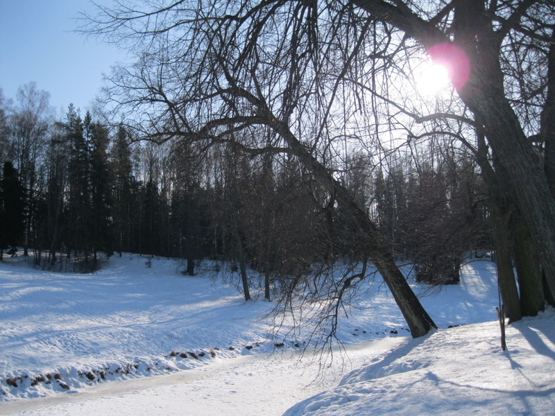 Павловск, image of landscape/habitat.