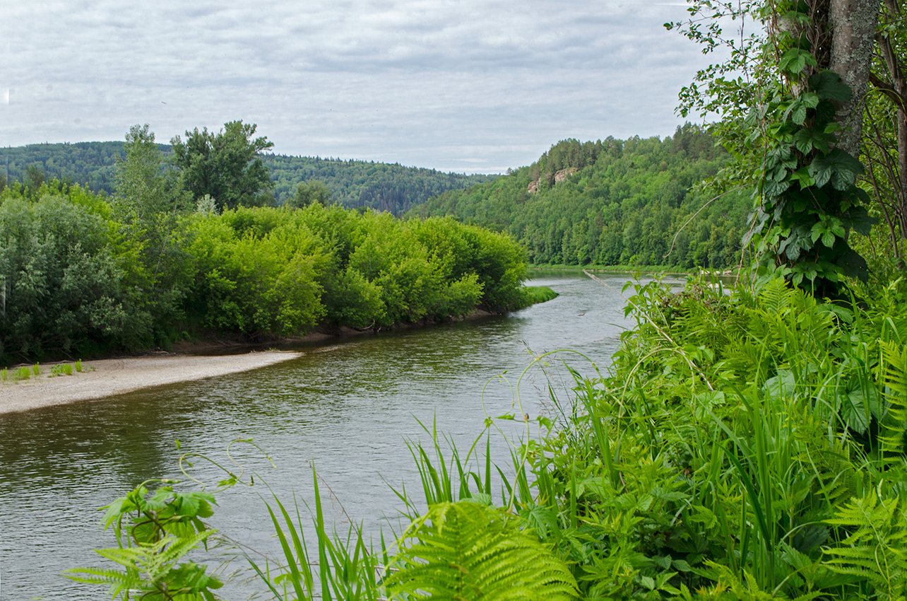 Окрестности Русского Усть-Маша, image of landscape/habitat.