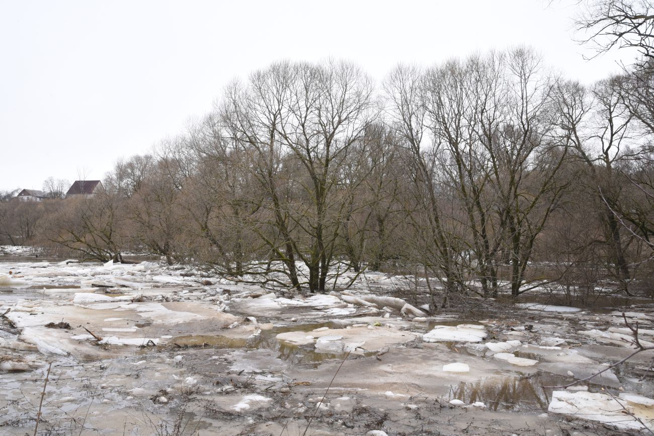 Окрестности деревни Сатино, image of landscape/habitat.