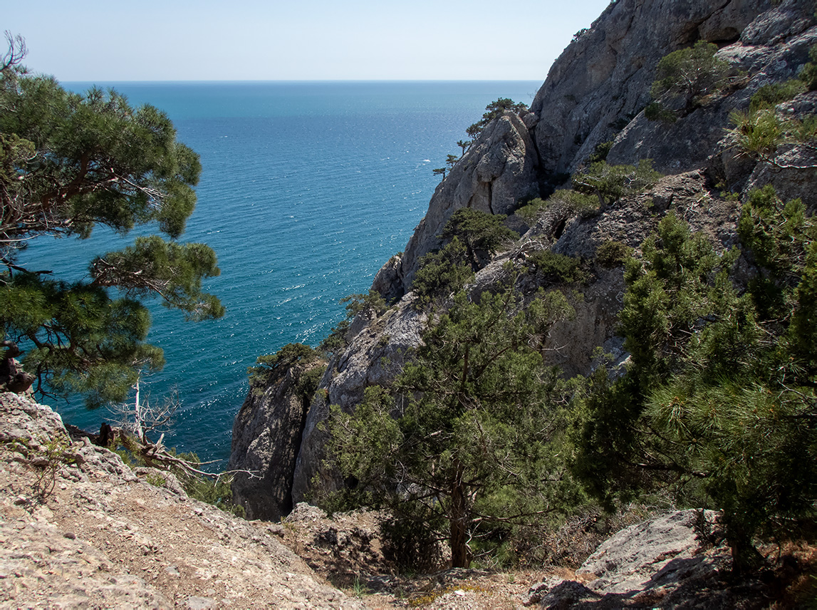 Караул-Оба, изображение ландшафта.