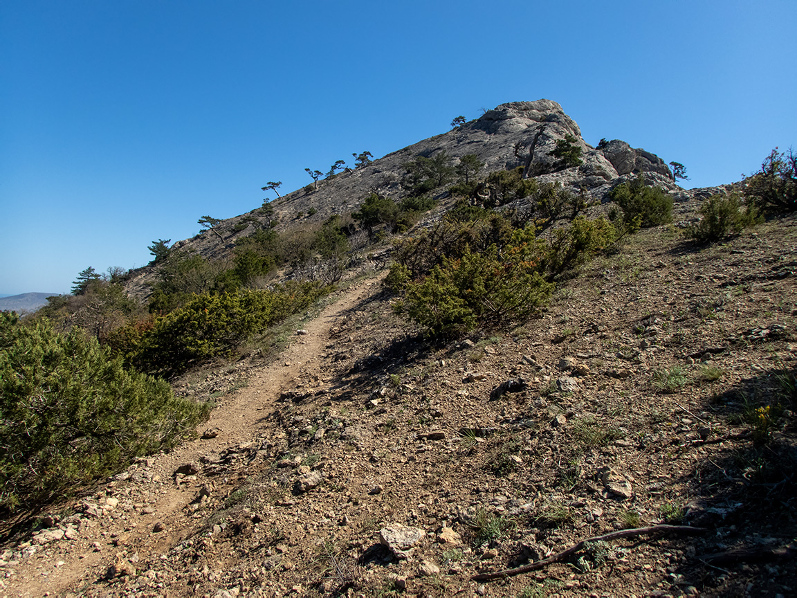 Сокол, image of landscape/habitat.