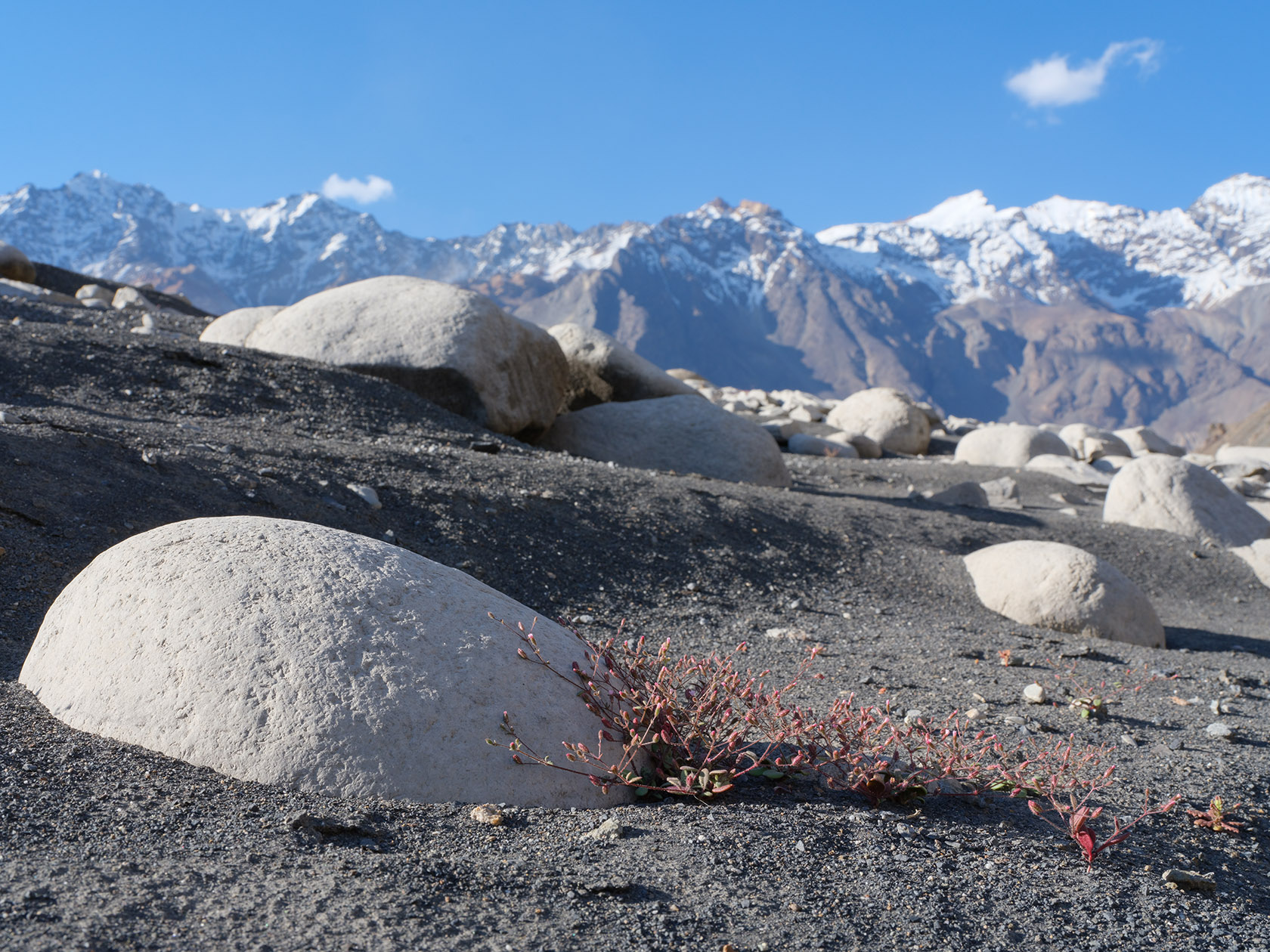 Шадау, image of landscape/habitat.