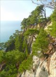Image of landscape